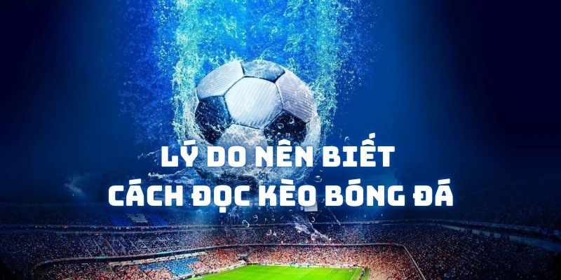 Lý do mà mọi người nên biết cách đọc các tỷ lệ cá độ