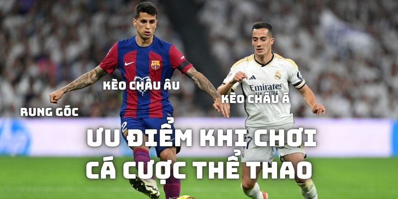 Lợi ích khi tham gia cá cược thể thao Kubet hội viên nhận được